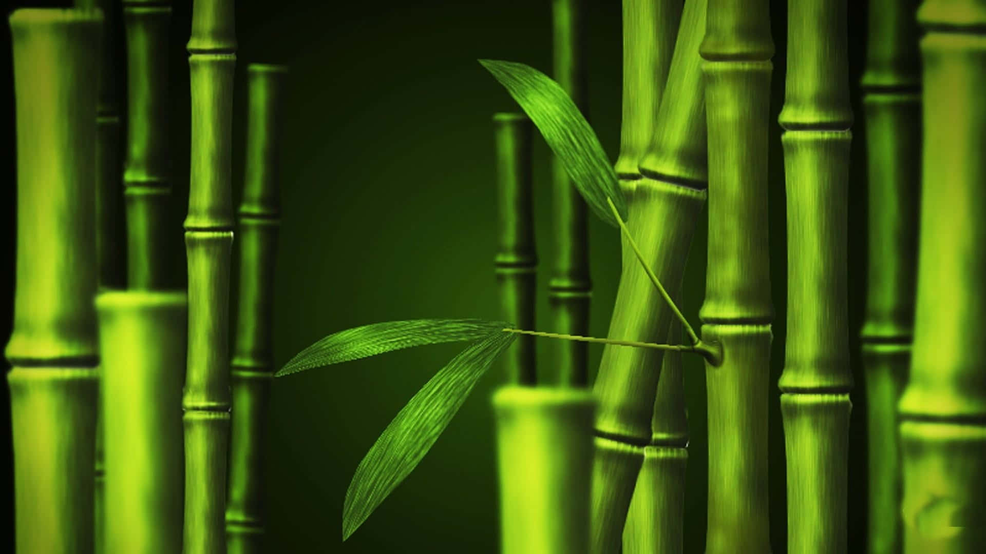 Bamboo Wallpaper - Wallpapers - Hd Background