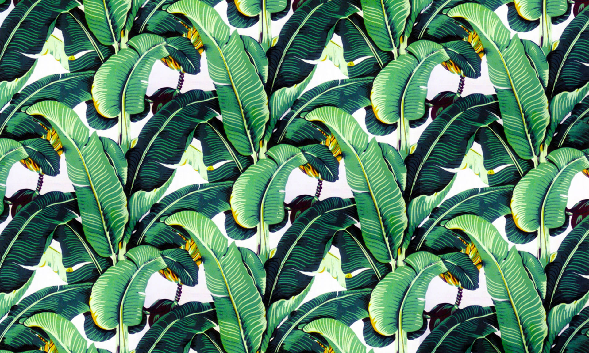 Banana Leaf Digital Mural Background