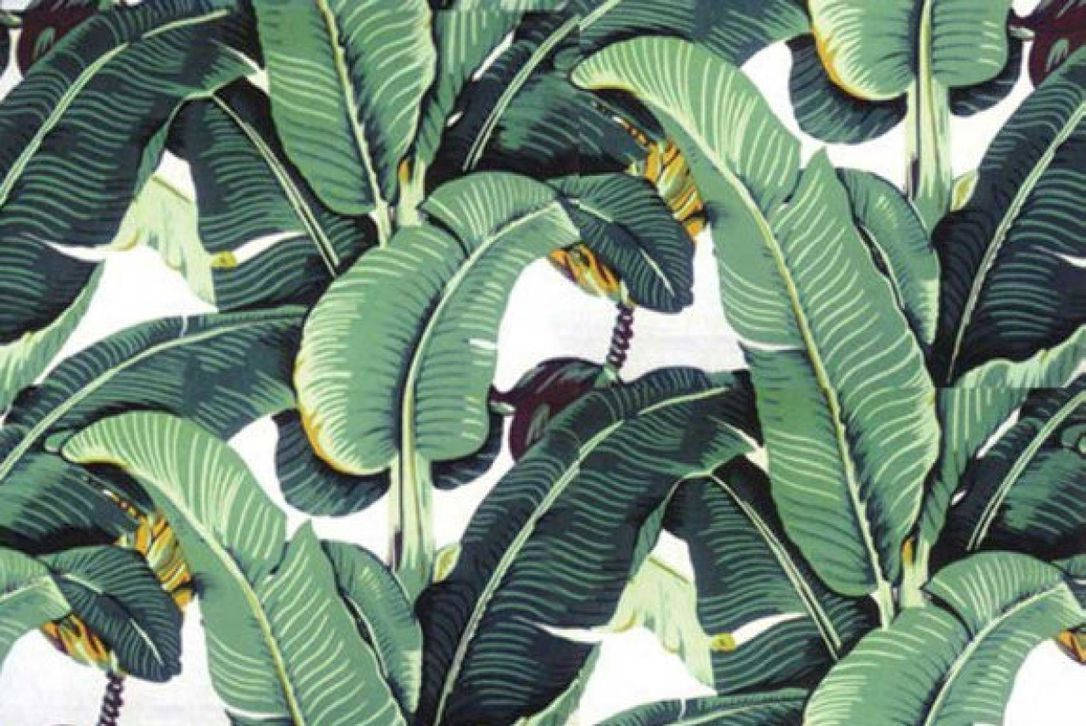 Banana Leaf Vector Art Background