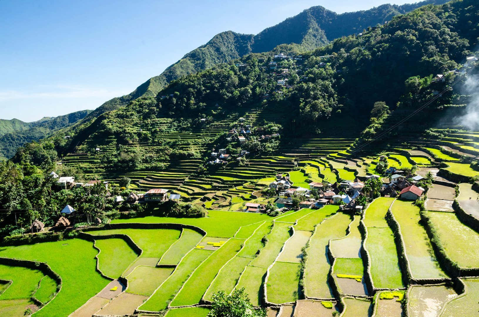 Banaue Rice Terraces In Philippines On A Sunny Day