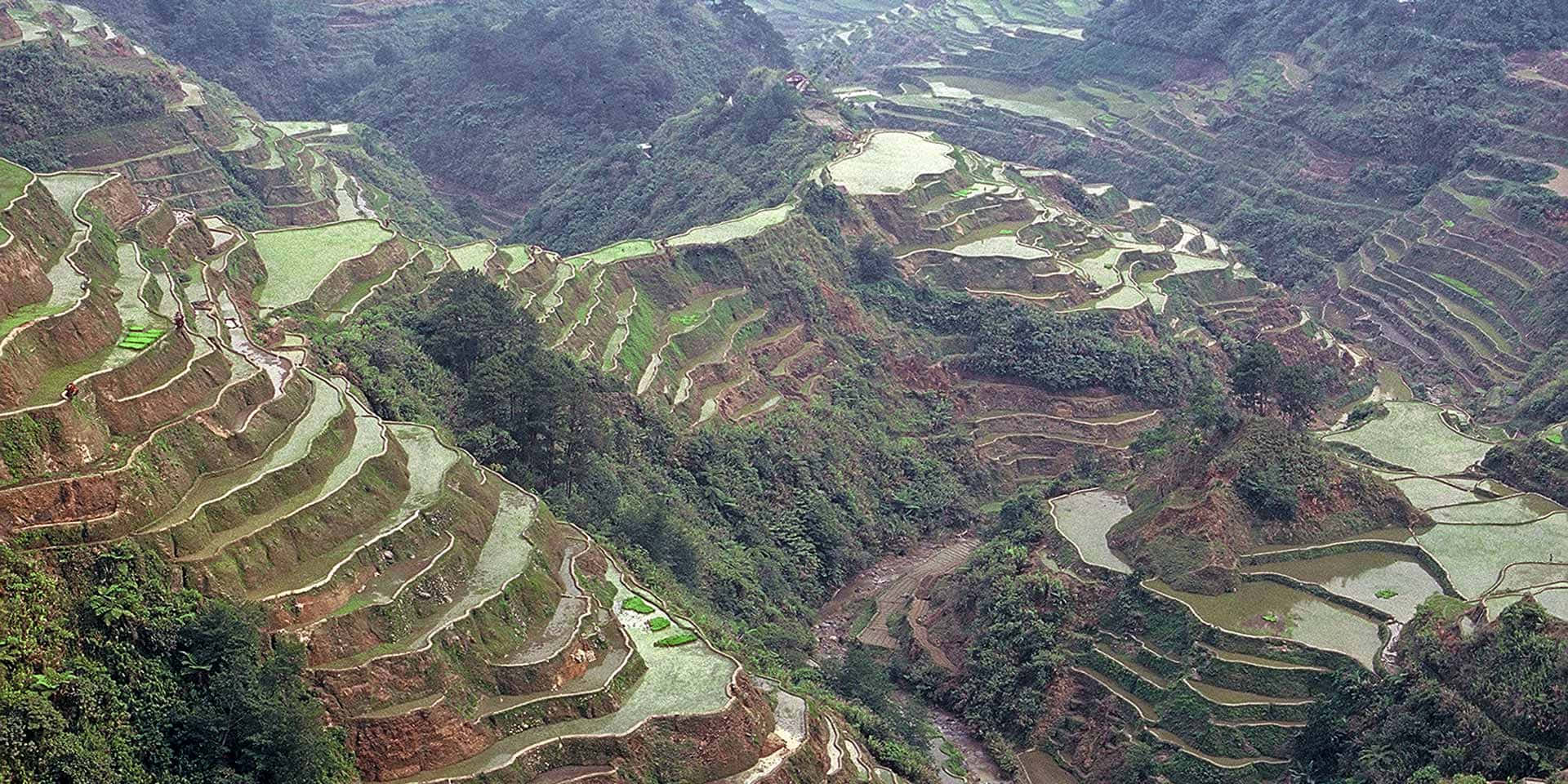 Banaue Rice Terraces In The Philippines Aerial Shot