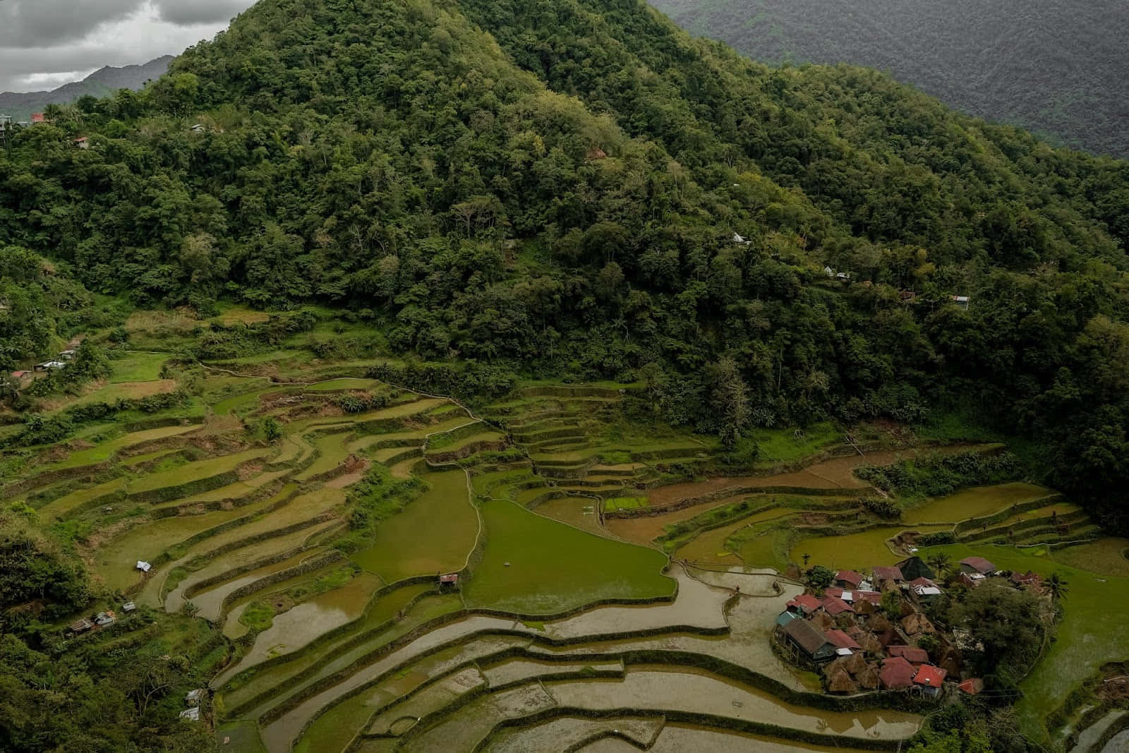 Banaue Rice Terraces In The Philippines During Gloomy Day Background