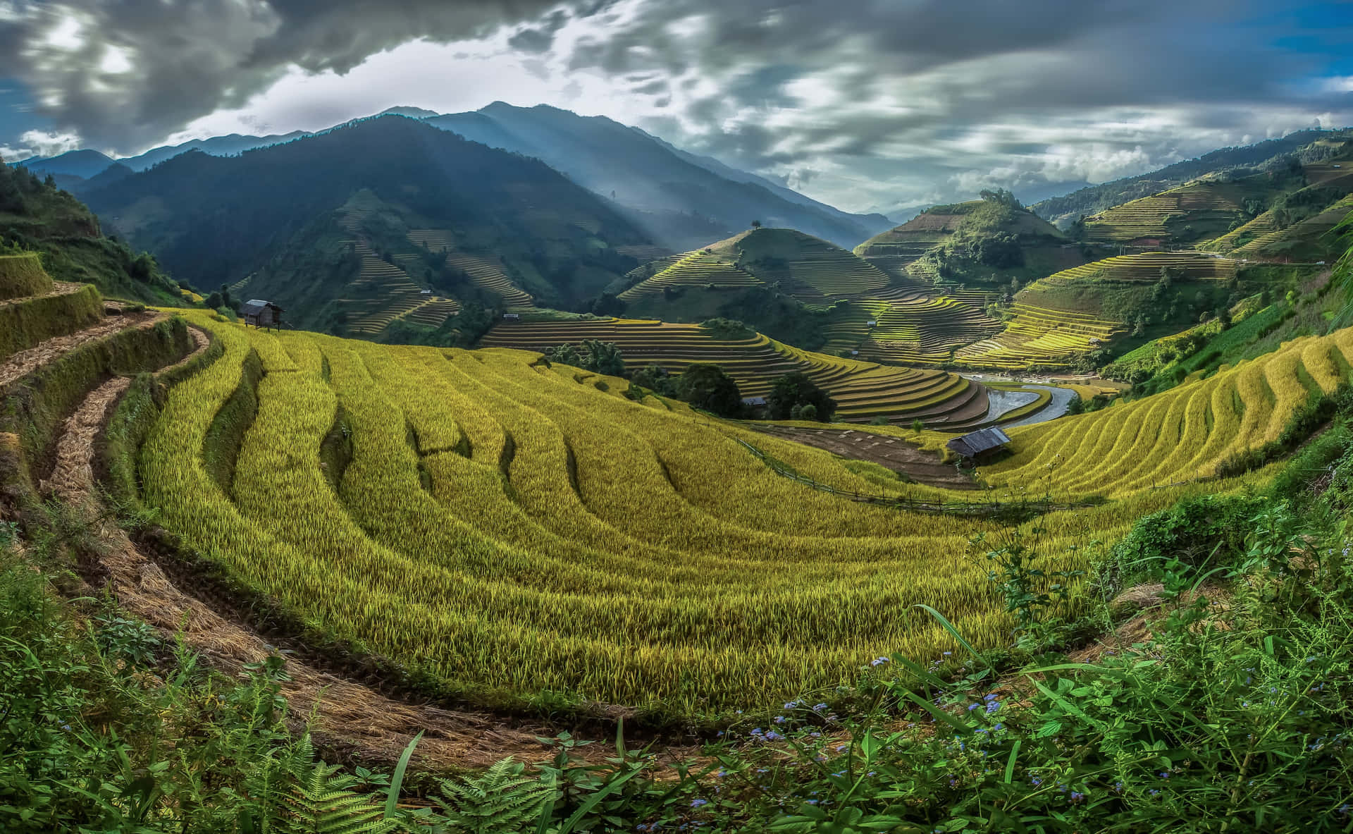 Banaue Rice Terraces In The Philippines Fisheye Shot Background