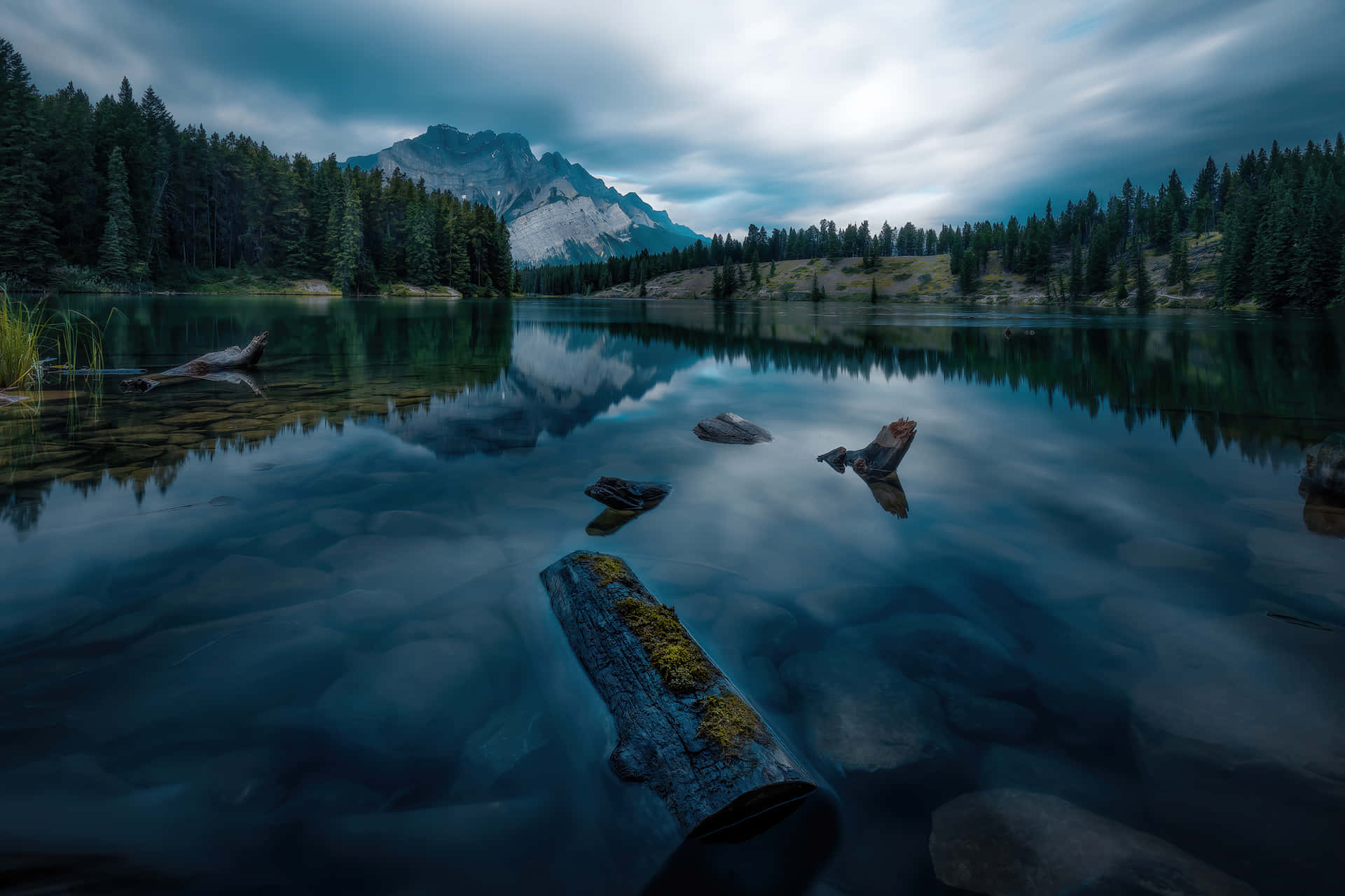 Banff National Park Floating Logs Background