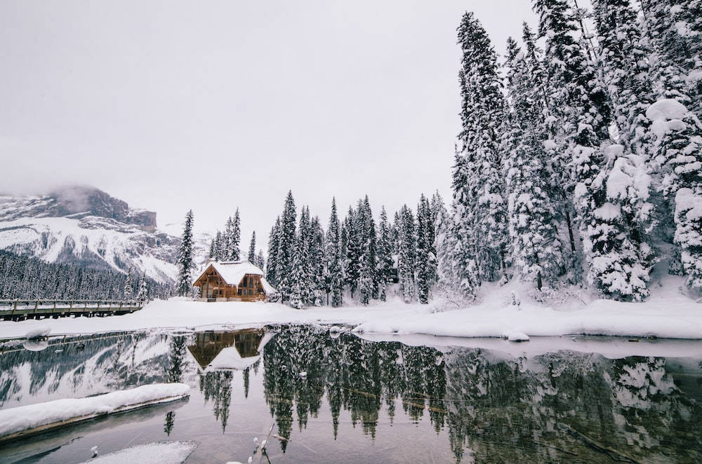 Banff National Park Winter Scenery Background
