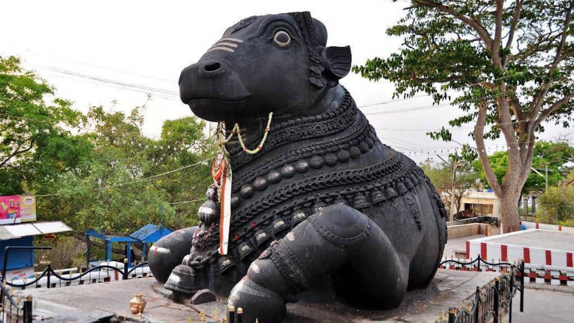 Bangalore Bull Temple Background