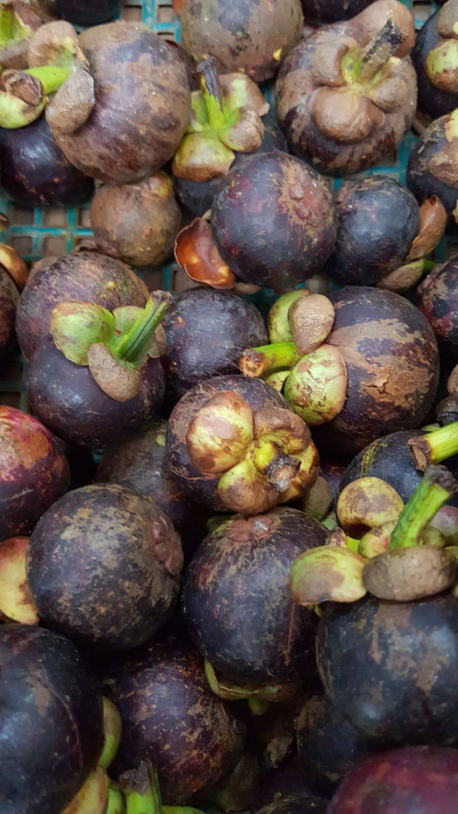 Bangkok Mangosteen Fruit Background