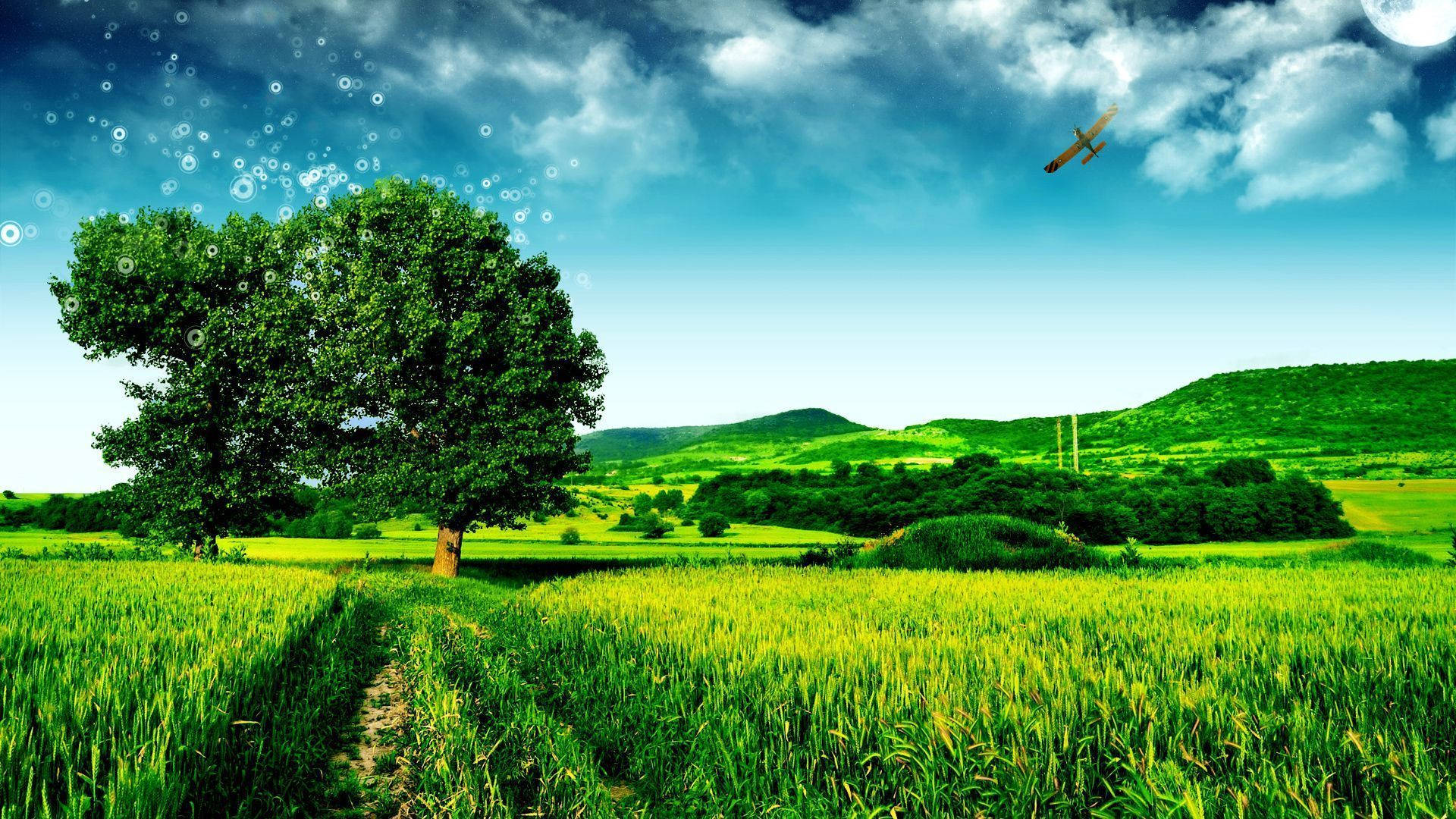Bangladesh Green Landscape Background