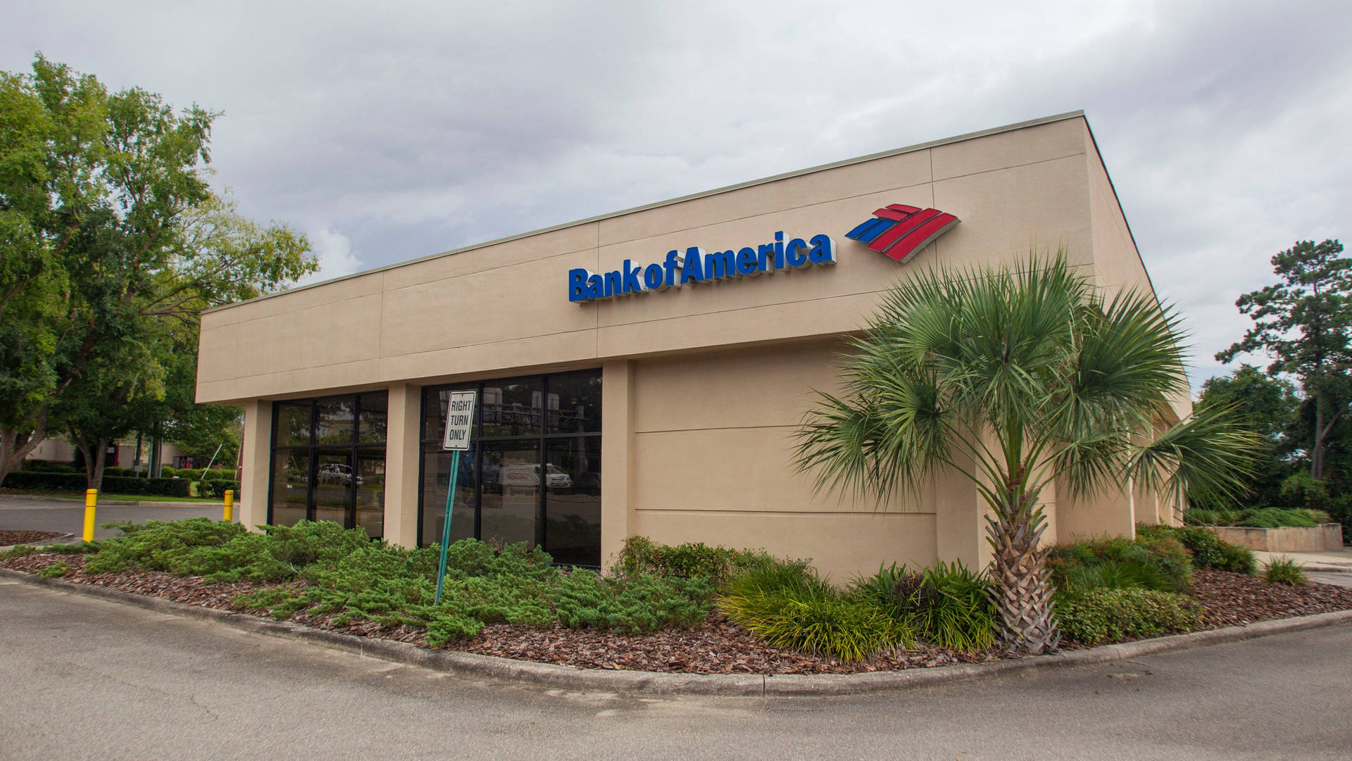 Bank Of America Tallahassee Branch