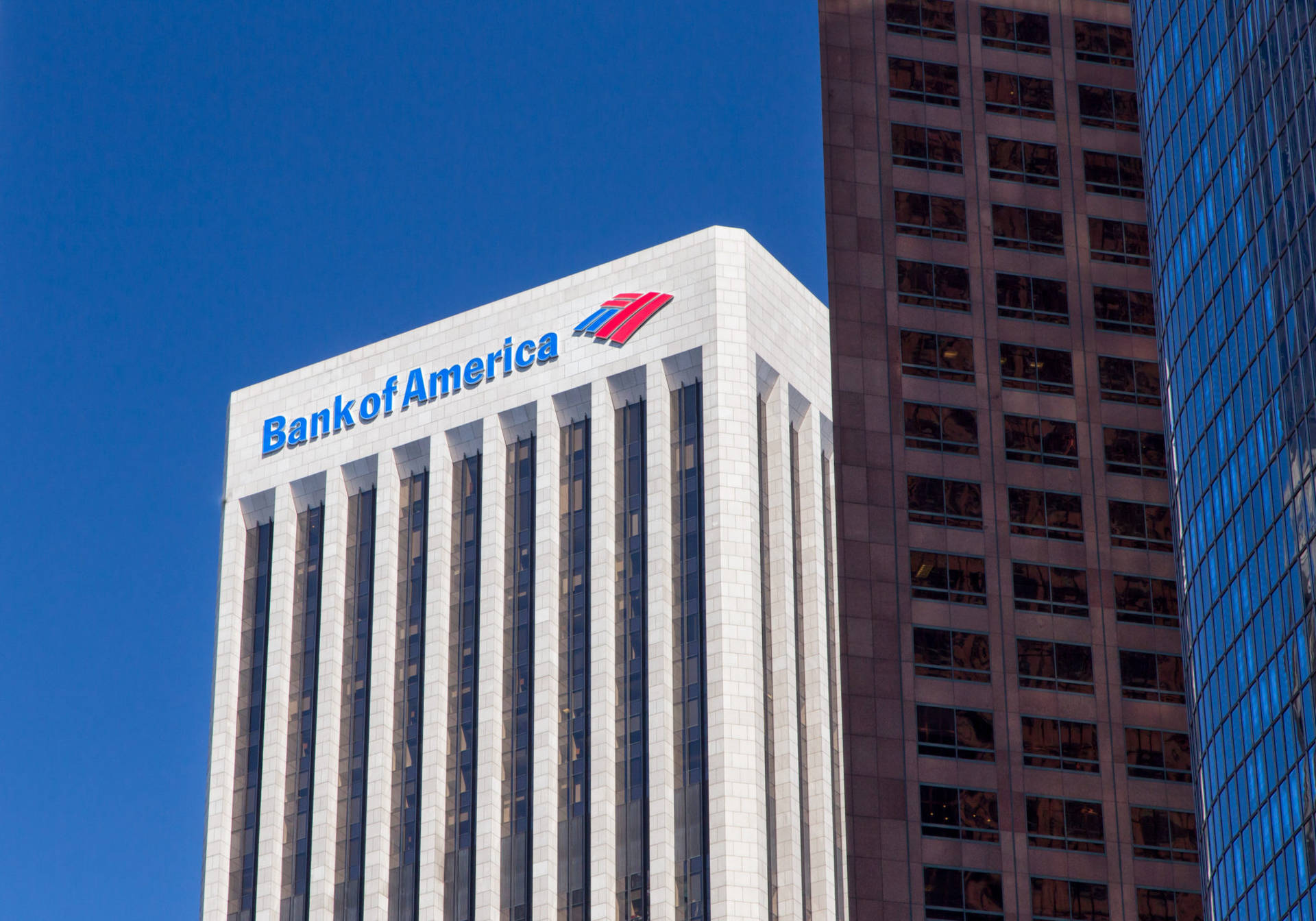 Bank Of America White Building