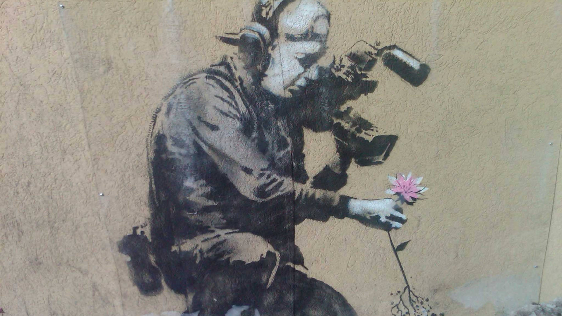 Banksy Cameraman And Flower Art Background