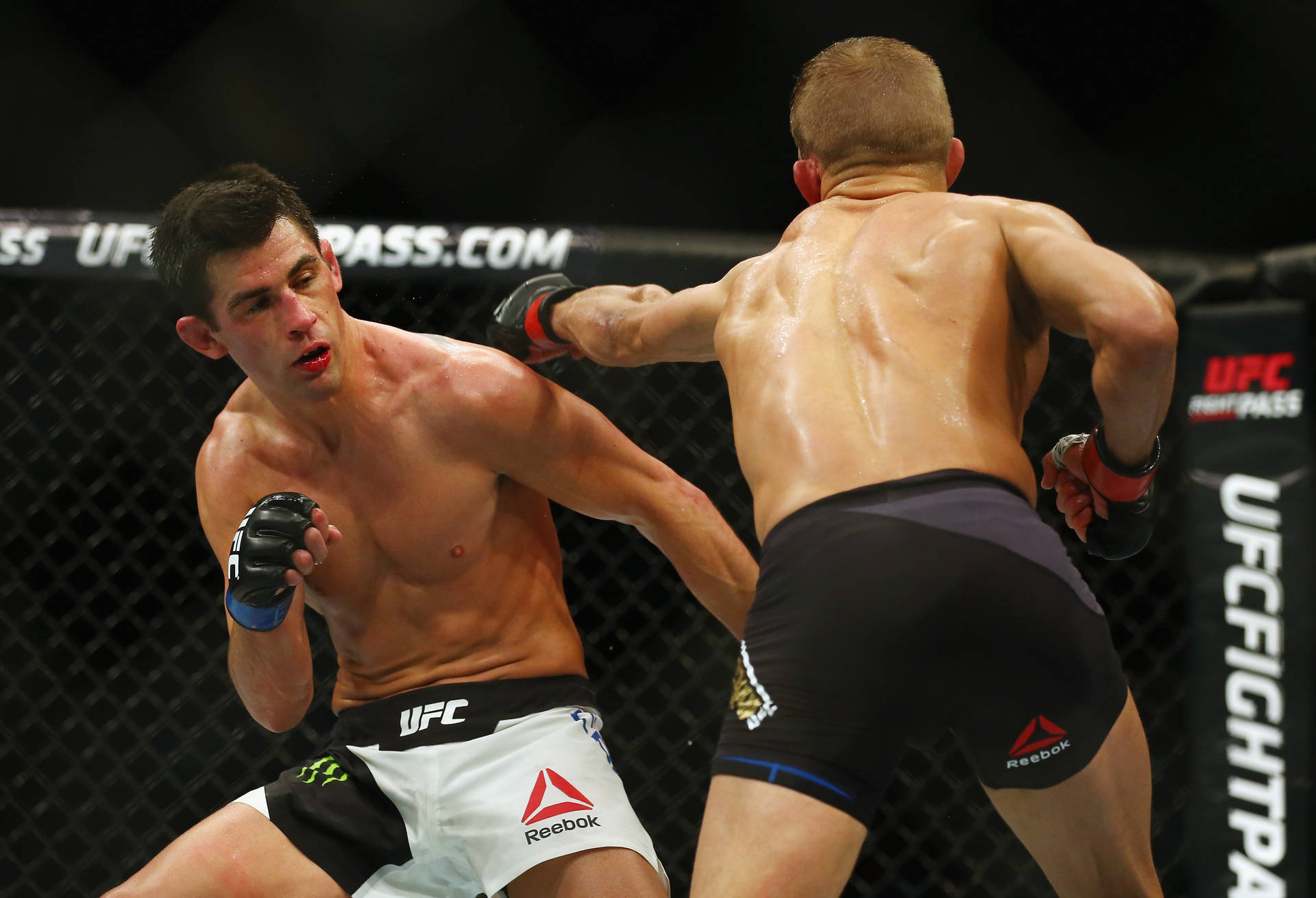 Bantamweight Champion Dominick Cruz Background