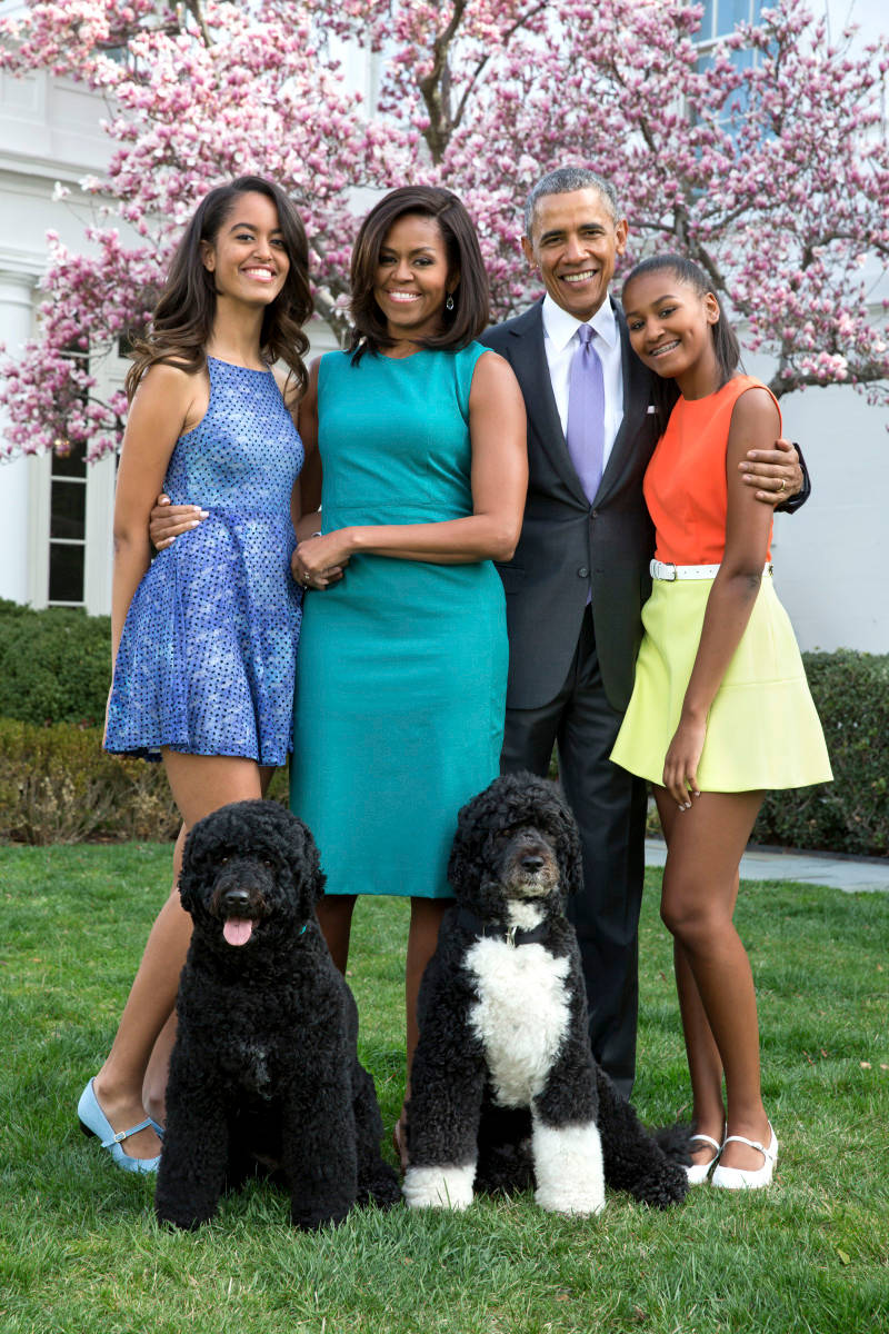 Barack And Michelle Obama Family Portrait