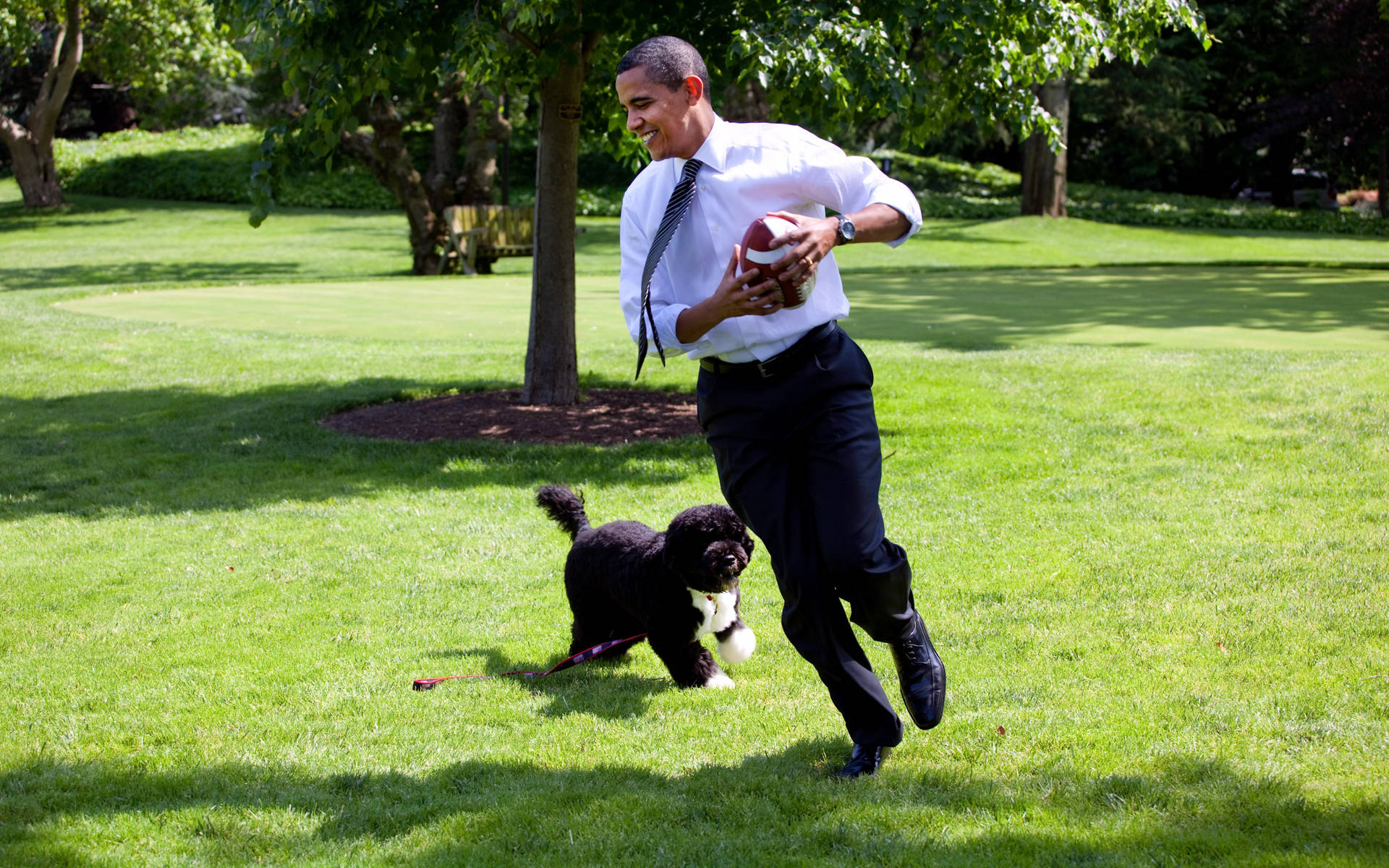Barack Obama And His Dog Bo Background
