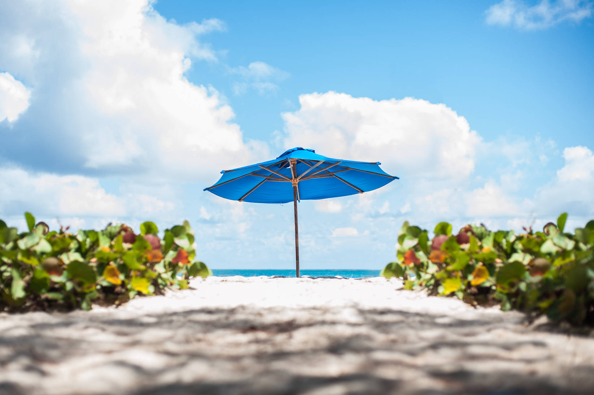 Barbados Beach Umbrella Background