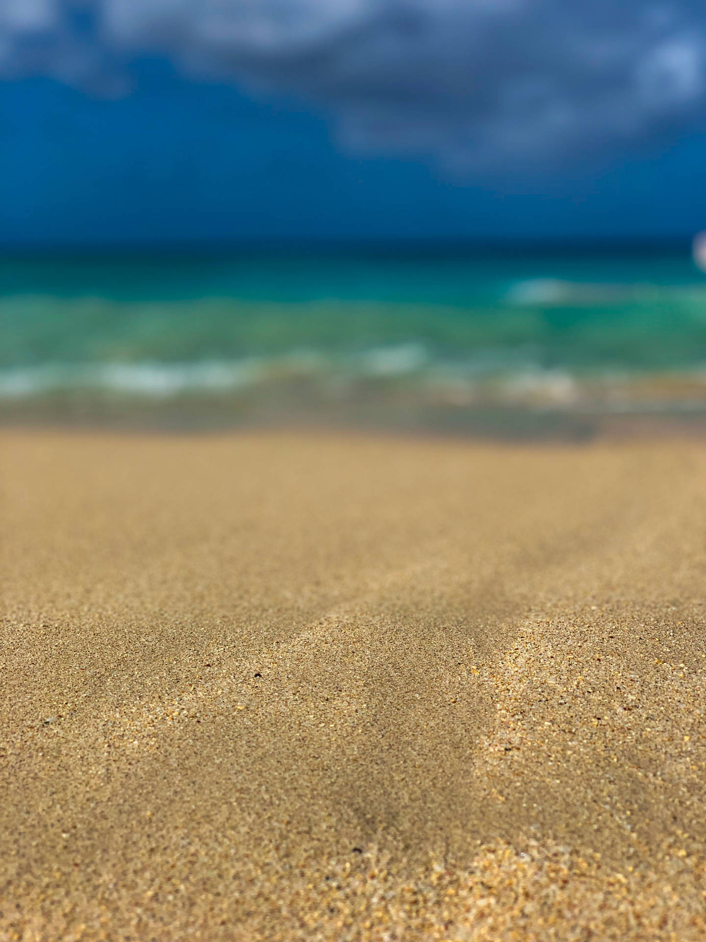 Barbados Brittle Sand Background