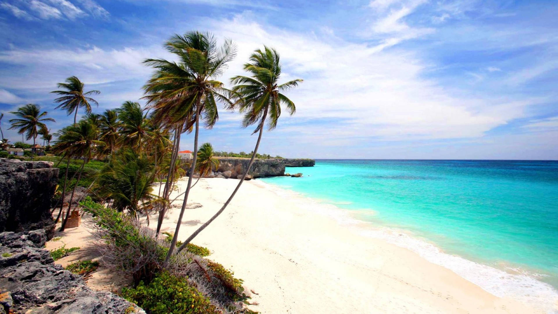 Barbados Calm Island Background