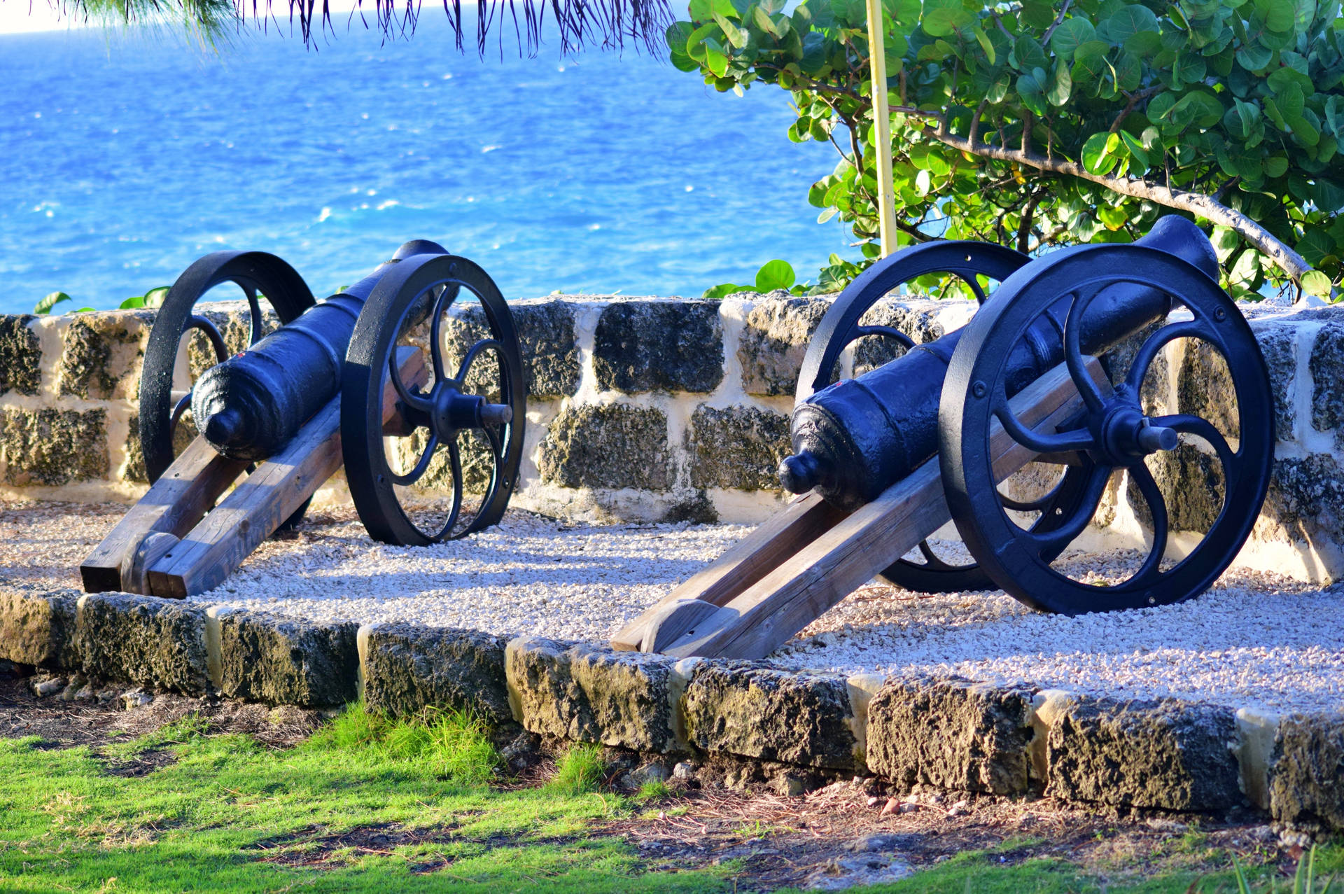 Barbados Cannons Background