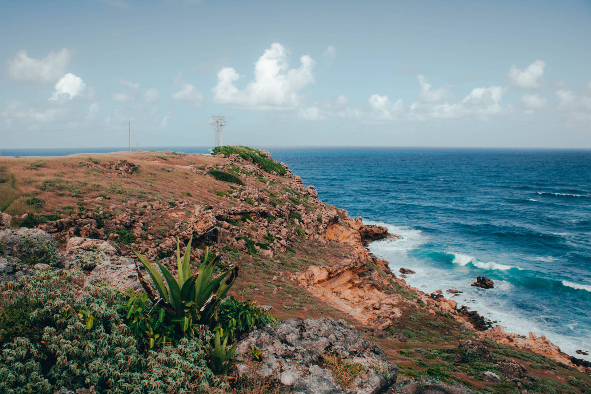 Barbados Rocky Seaside Background