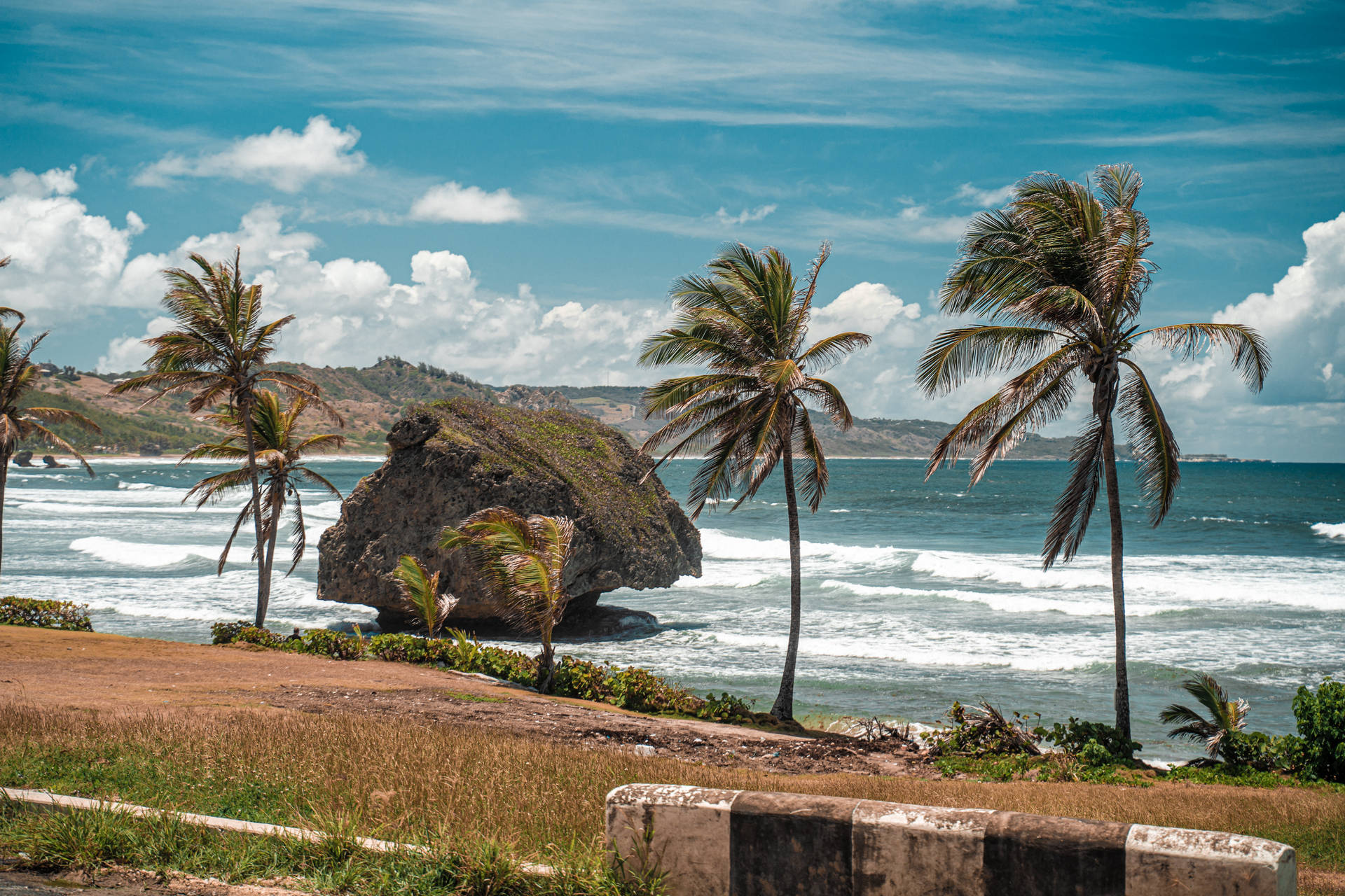 Barbados With Trees And Rock Background
