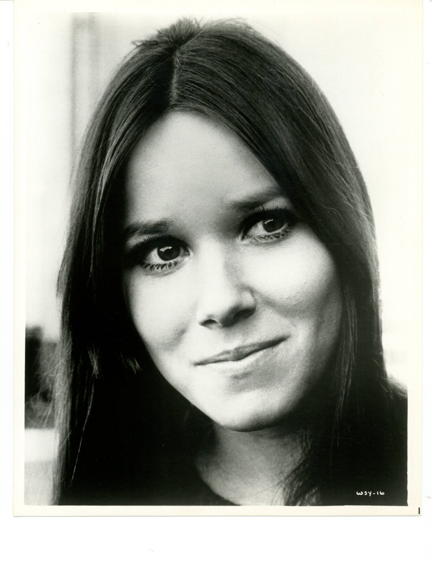 Barbara Hershey In With Six You Get Eggroll Background