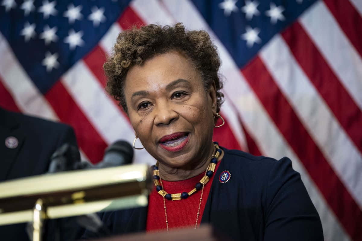 Barbara Lee American Flags Background
