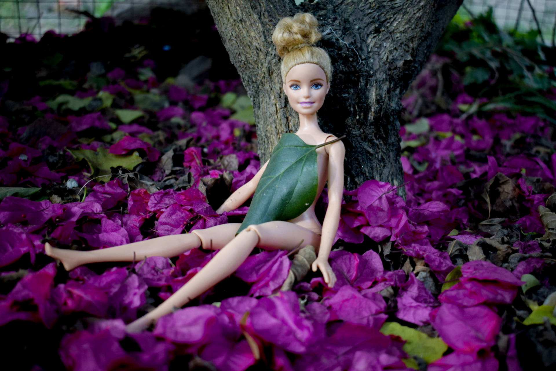 Barbie Enjoys A Day In The Forest Background