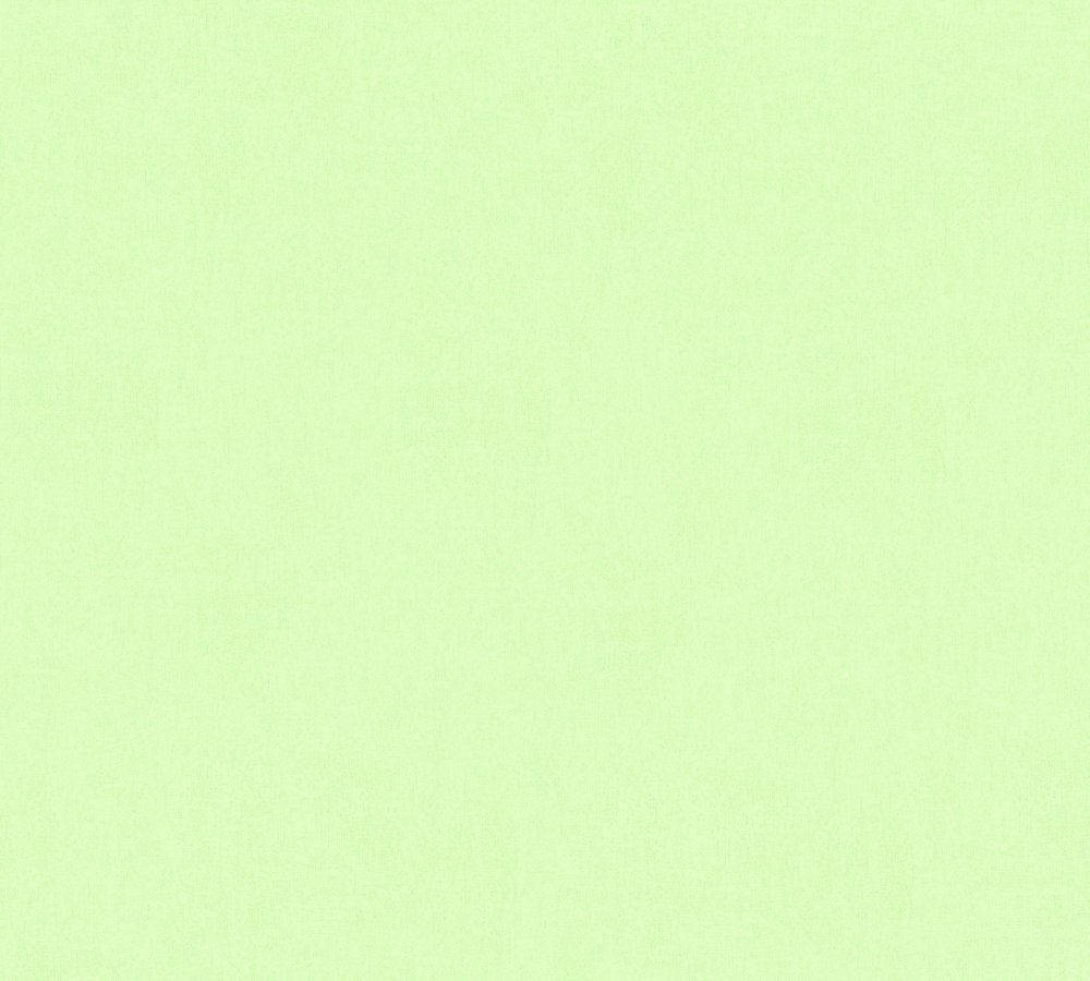 Bare Light Green Plain Background