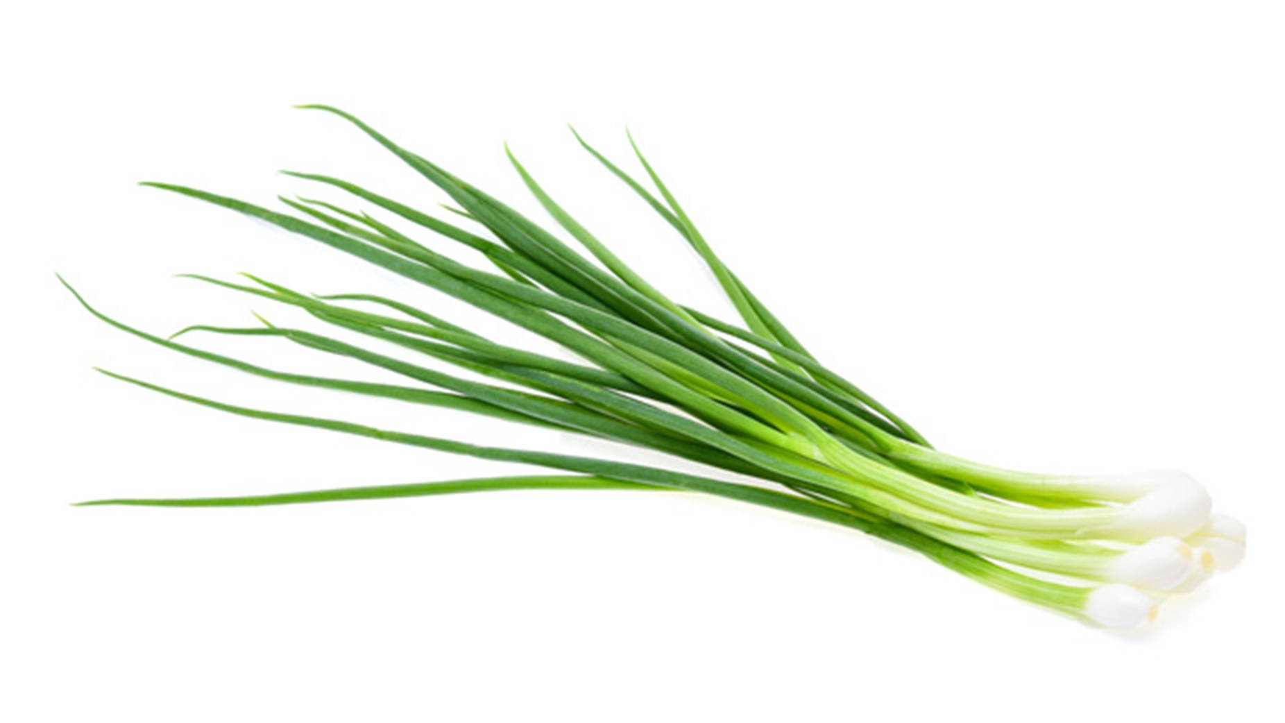 Bare Long Leaf Green Onions Background