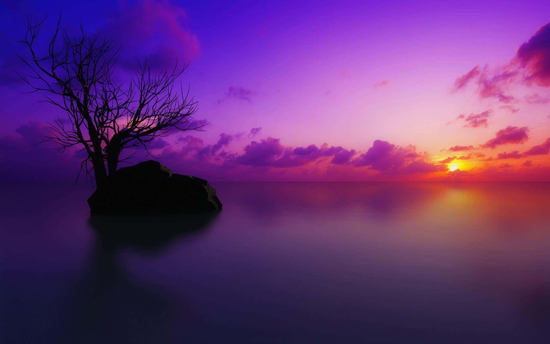 Barren Tree On A Blue And Purple Sunset Background