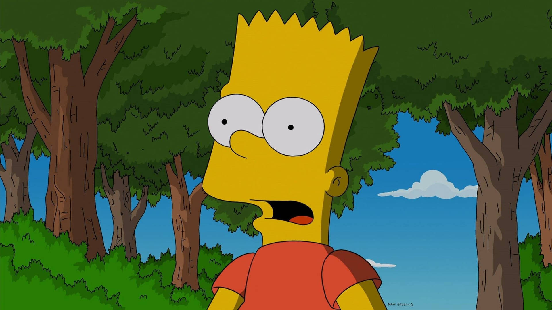 Bart Simpsons Cartoon Sitcom Character Background