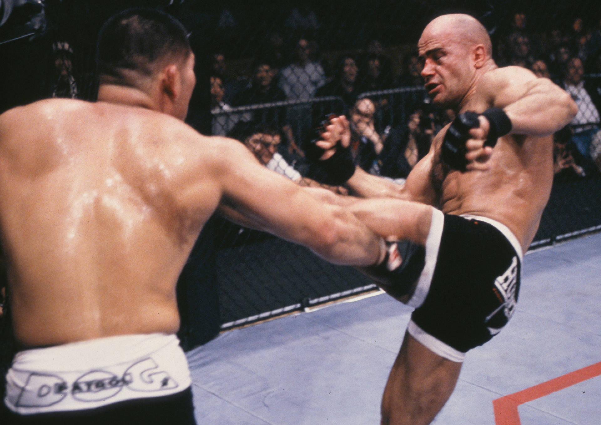 Bas Rutten Kicking Opponent Background