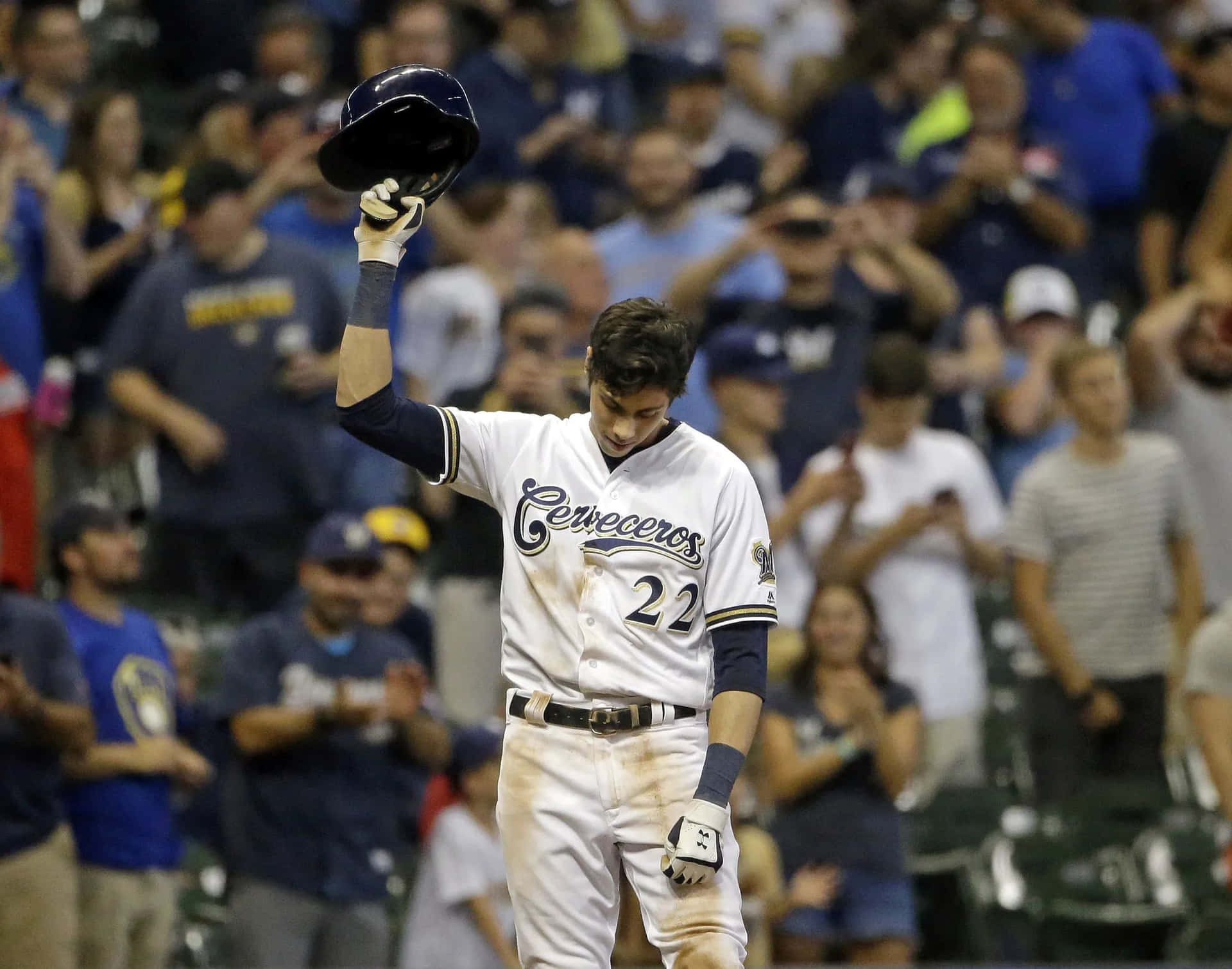 Baseball Player Acknowledging Crowd Background