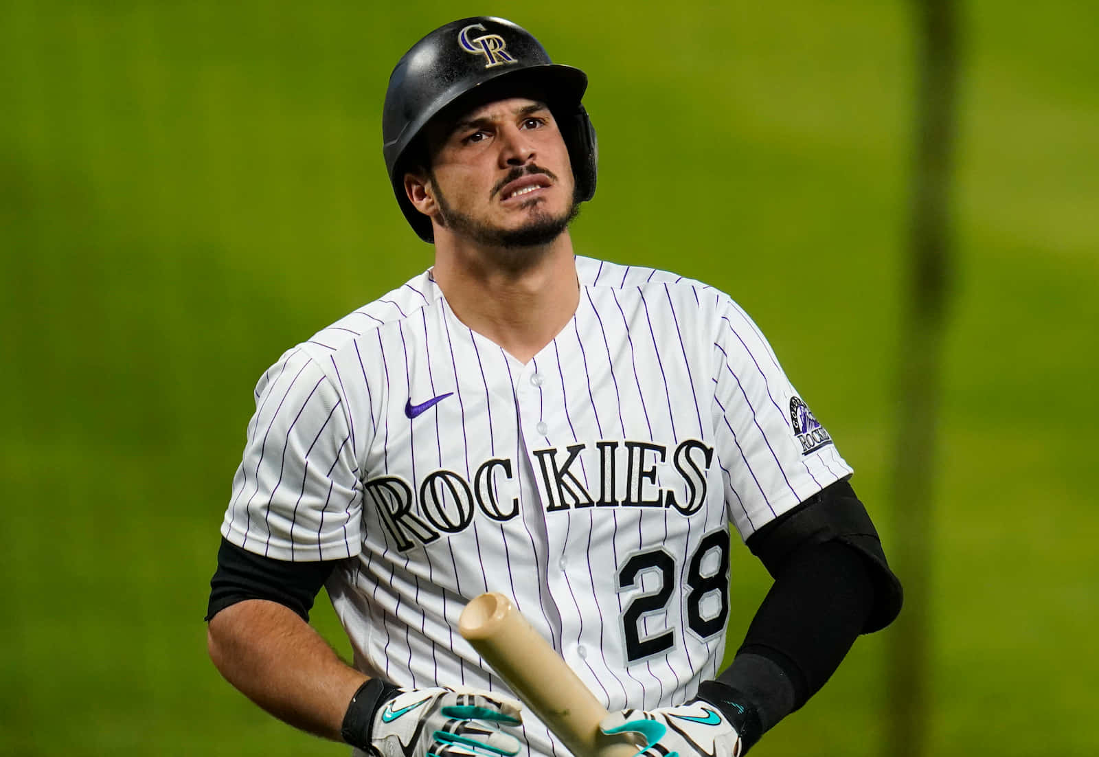 Baseball Player Pensive Look During Game.jpg Background