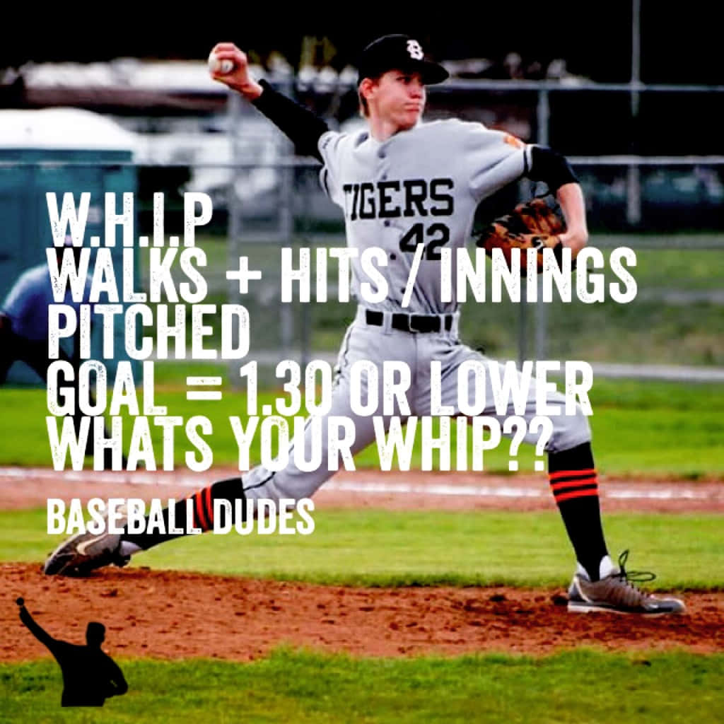 Baseball Quotes Whip Calculation Background