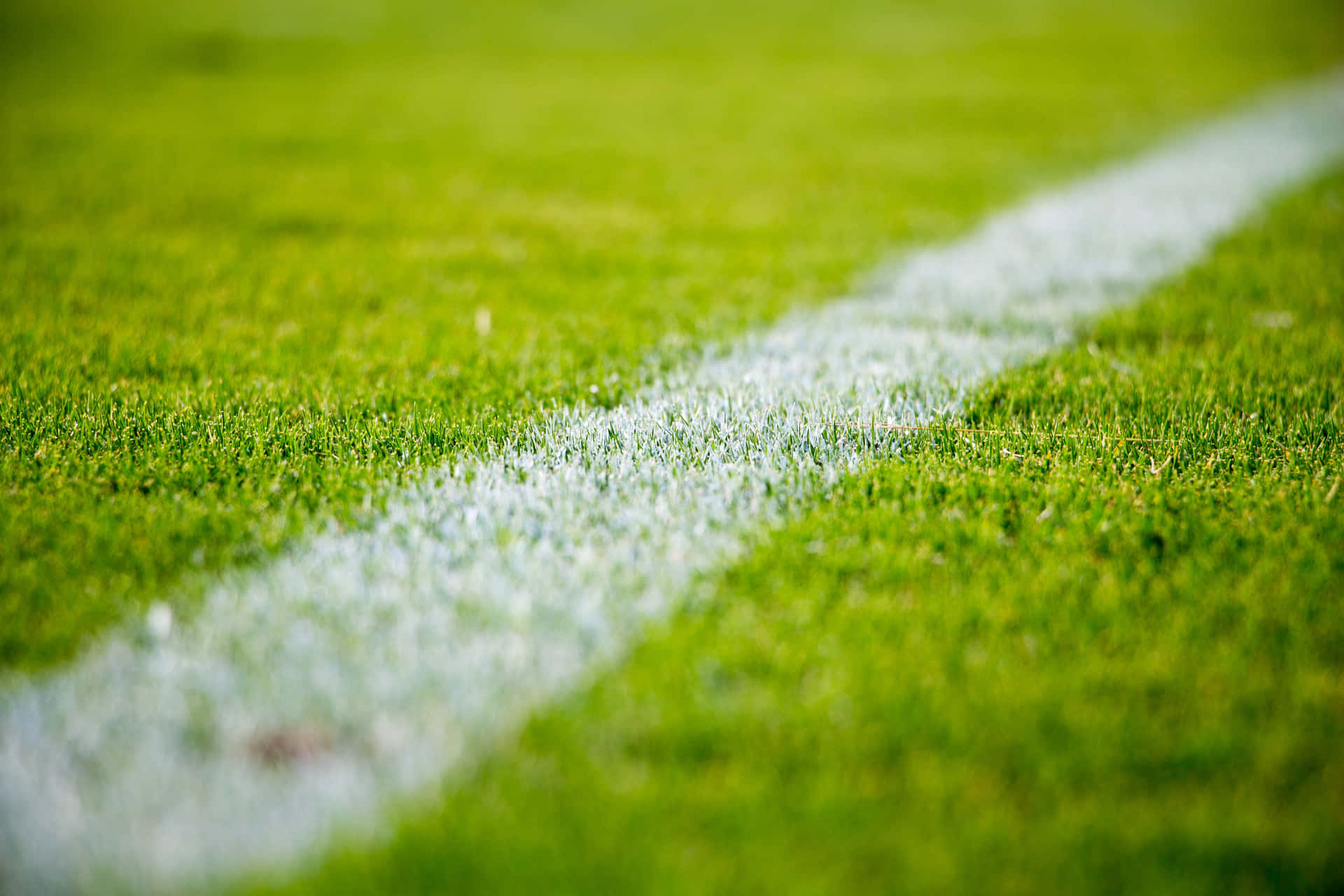 Basic Close Up Of Football Field Line Background