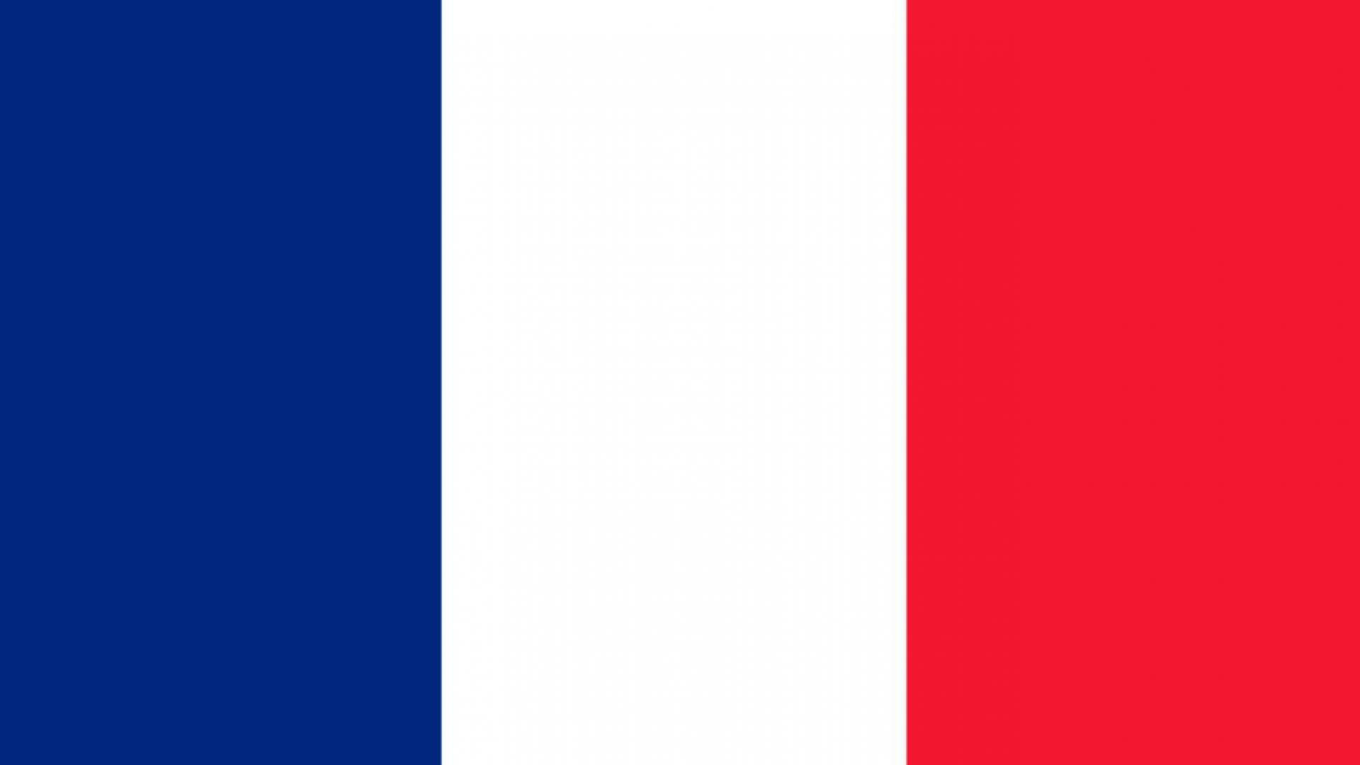 Basic France Flag Digital Art Background