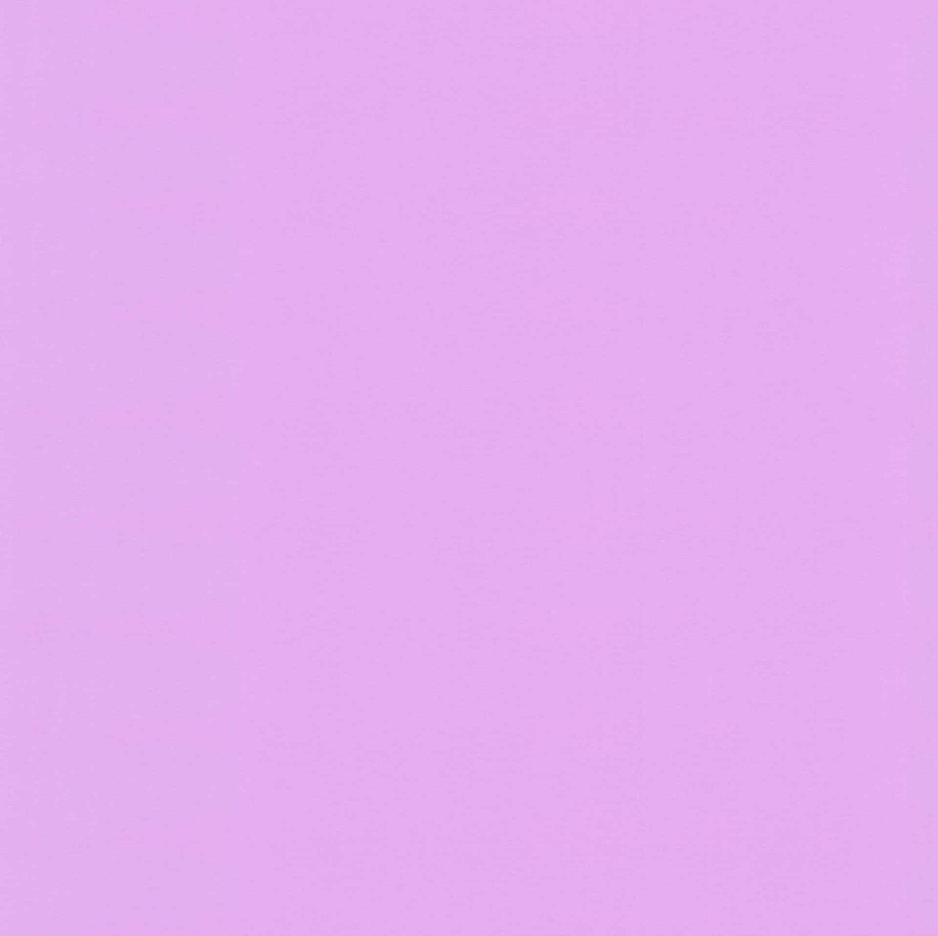 Basic Lavender Purple Color