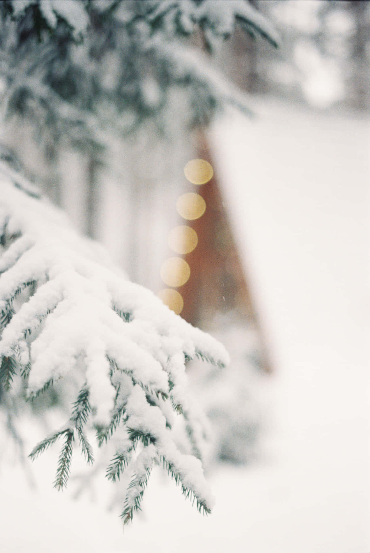 Bask In The Beauty Of Christmas With A Night Of Joyful Snow Background