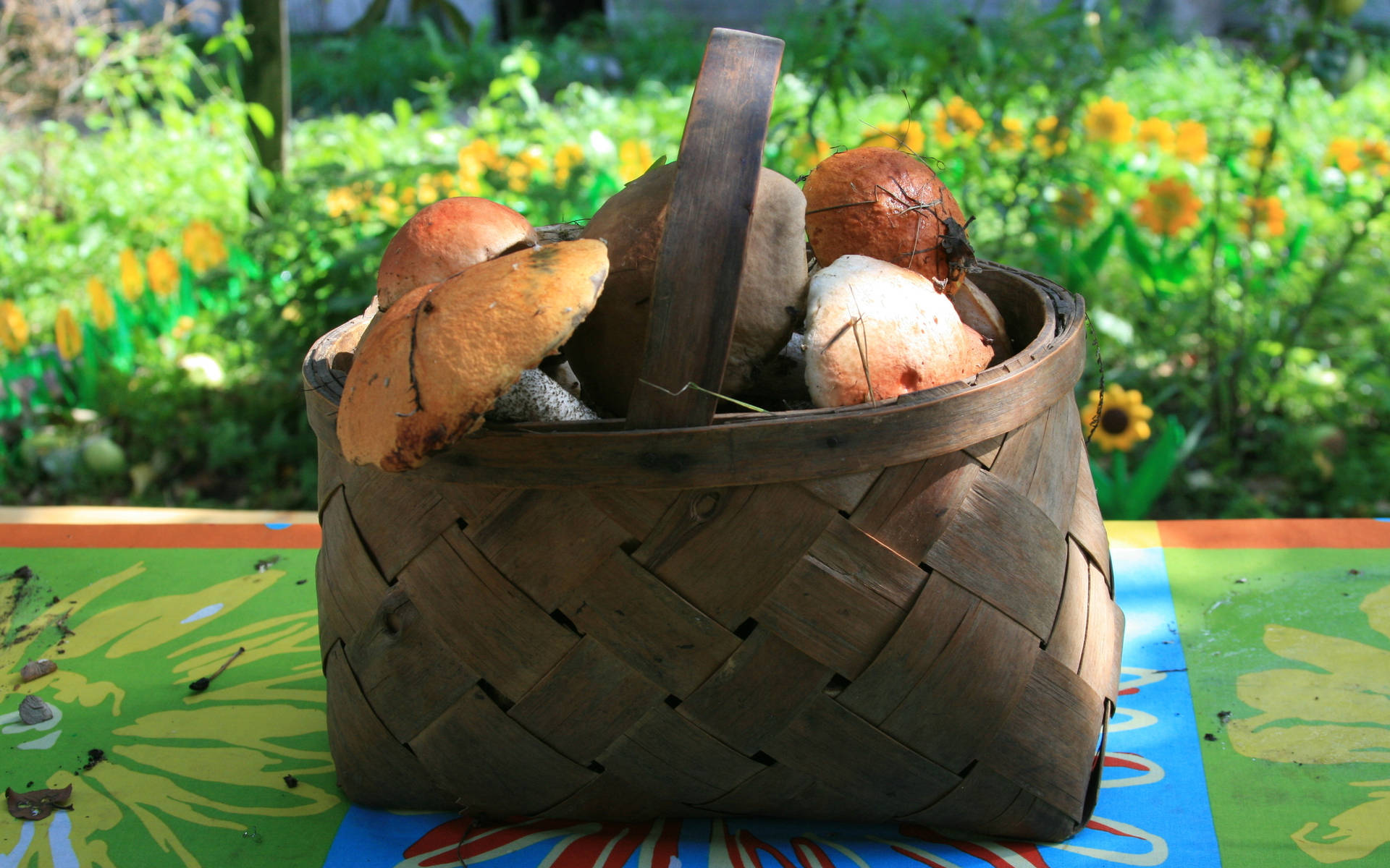 Basket Full Of Cute Mushrooms Background