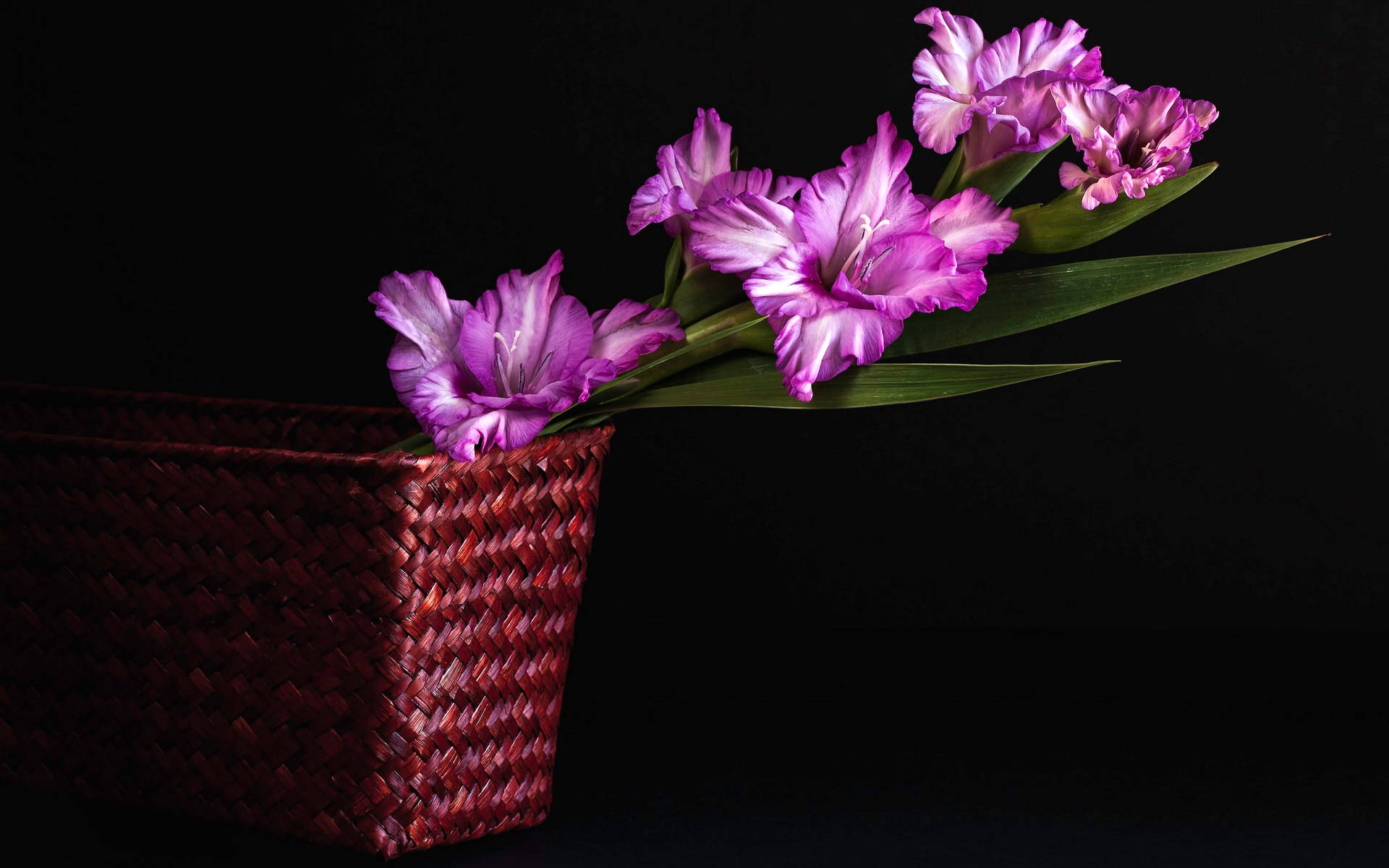 Basket Of Purple Flower Desktop Background