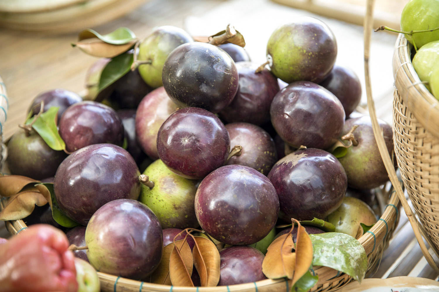 Basket Of Star Apple