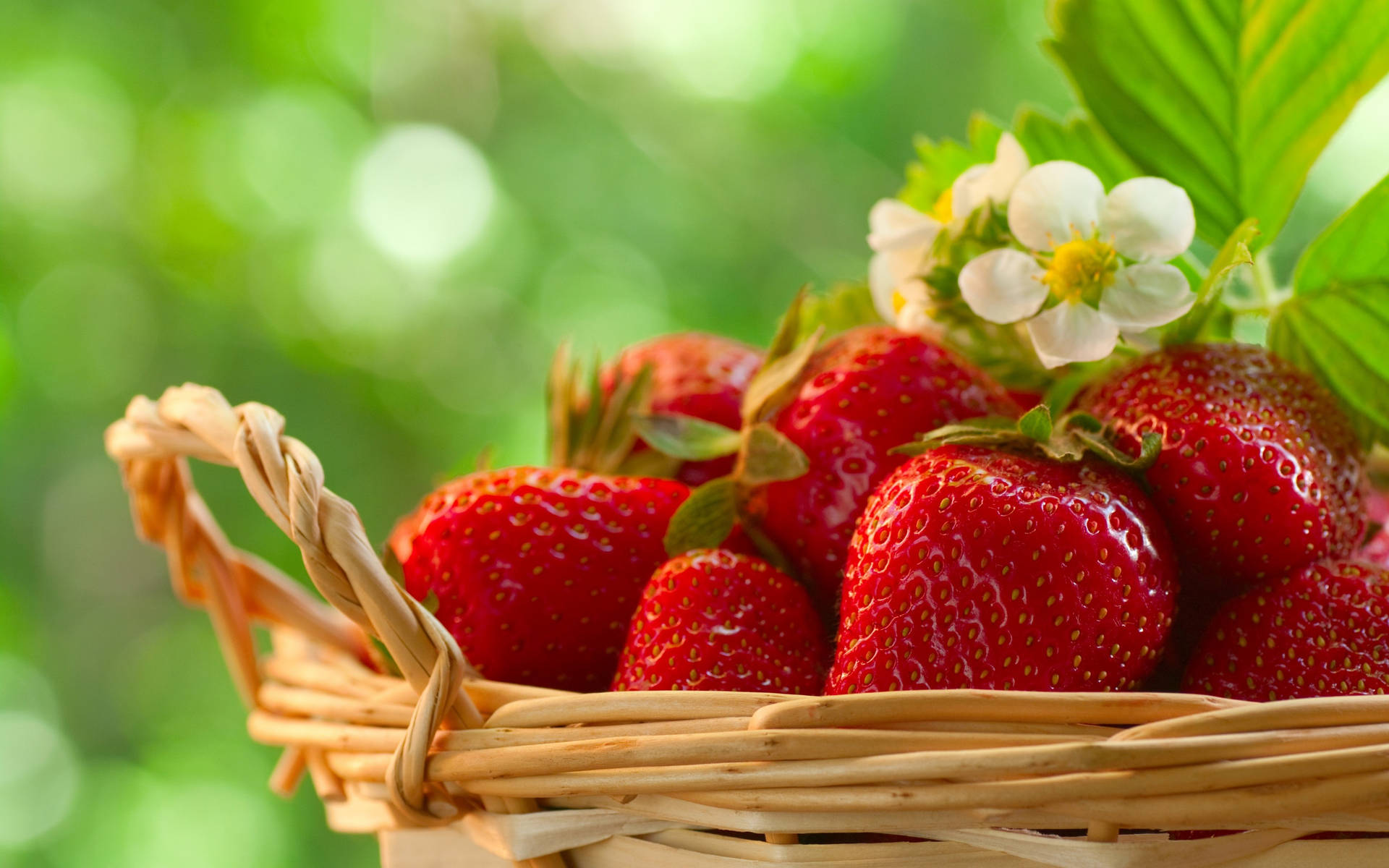 Basket Of Strawberries Background