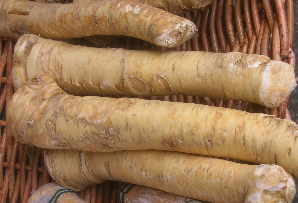 Basket With Horseradish Background