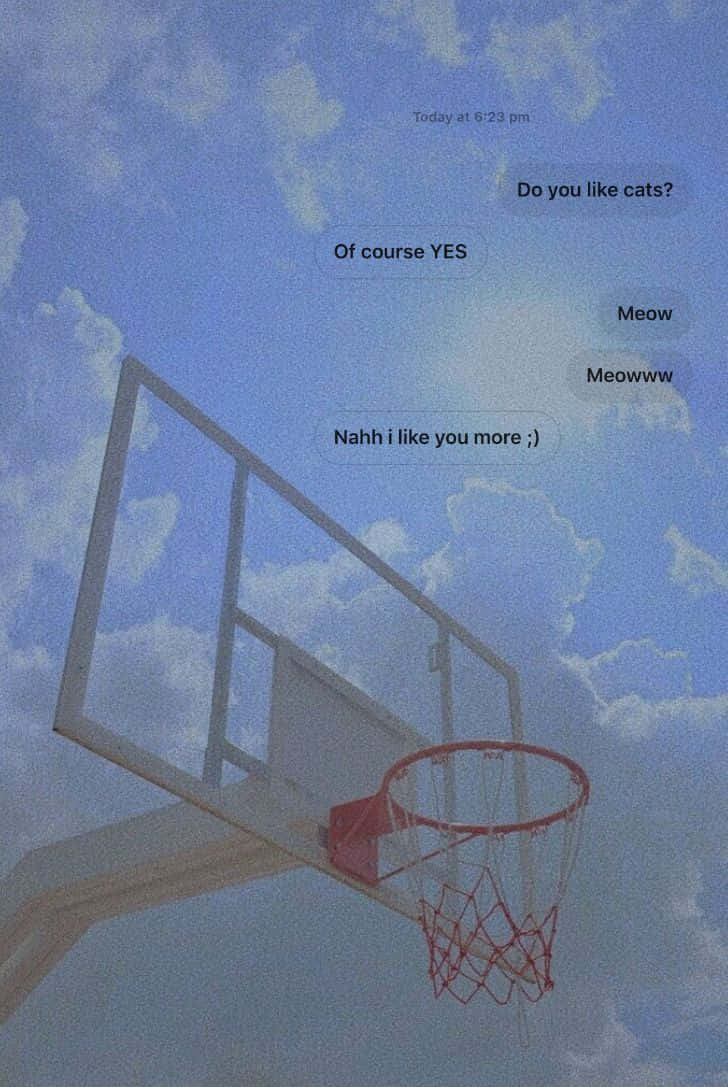 Basketball Aesthetic Chat Cats Background