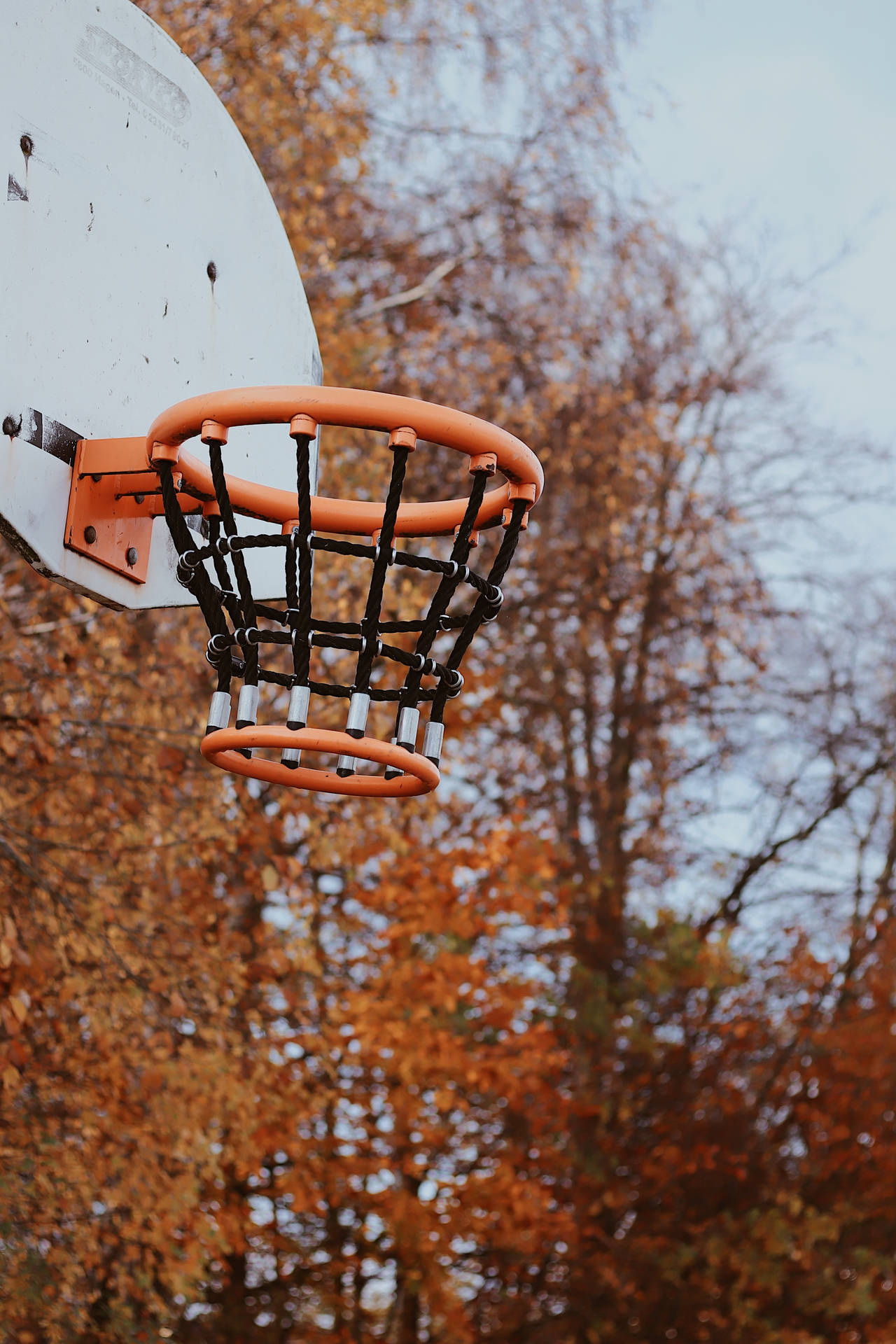 Basketball Hoop Autumn Trees Background