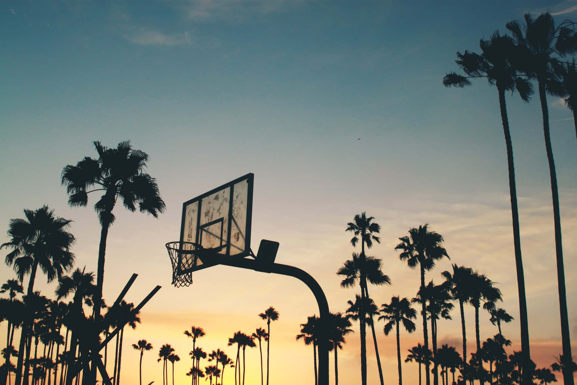 Basketball Hoop Sunset Palms Background