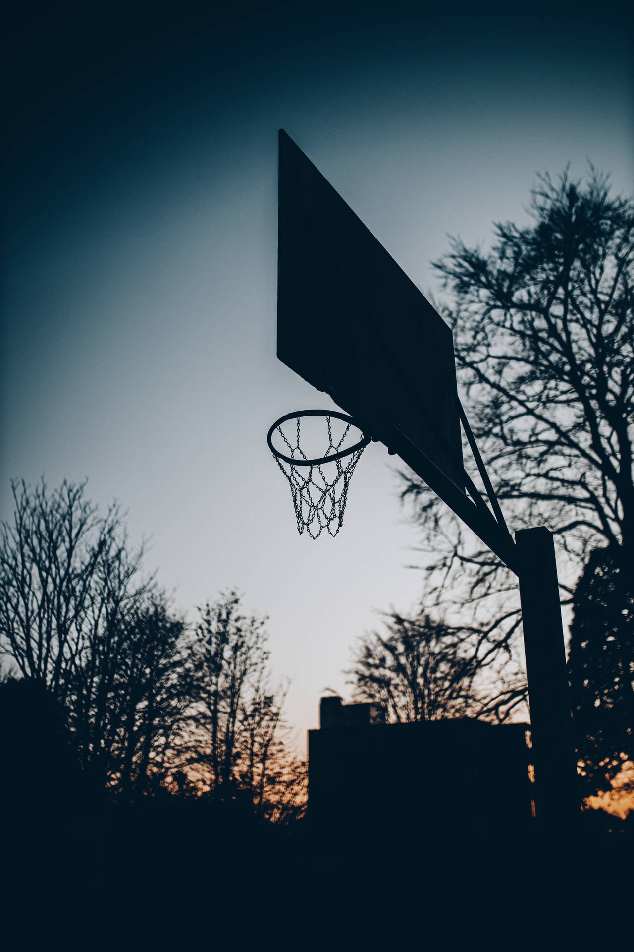 Basketball Hoop Trees Silhouettes Background