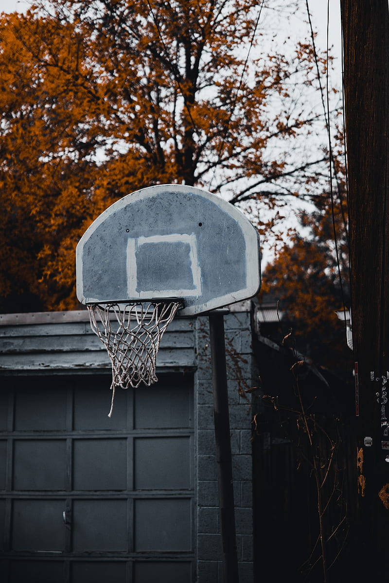 Basketball Ring Autumn Cool Basketball Iphone Background