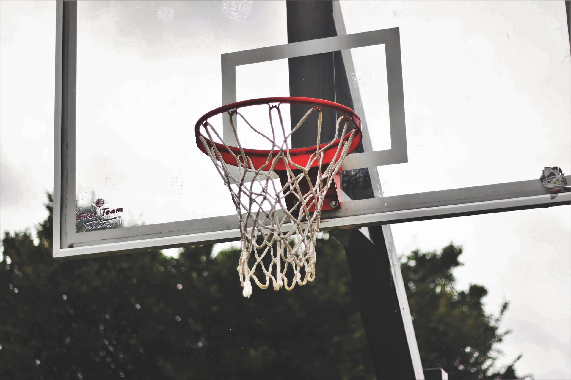 Basketball Ring Transparent Shield Background
